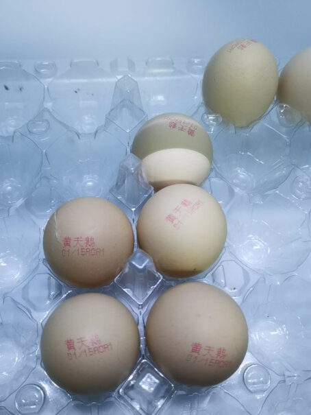 黄天鹅鸡蛋30轻食单枚50G+生食无菌天鹅怎么样入手更具性价比？图文长篇记录必看！