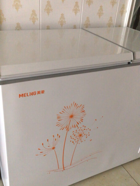 美菱MELING278升商用家用冰柜大家多少入的？