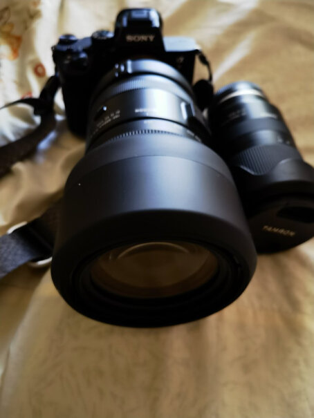 腾龙A058 35-150mm F/2-2.8 Di III VXD变焦镜头这个镜头你是怎么买到的？