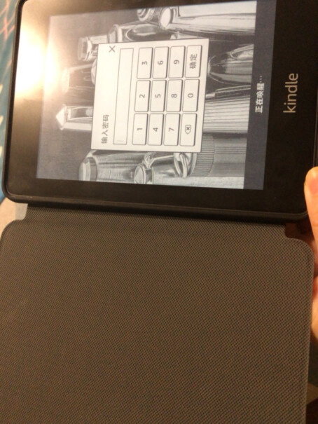 Kindle Paperwhite 经典版 8G中文系书籍都可以看么？