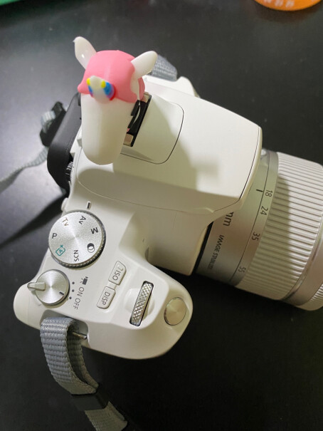 「预售」佳能EOS 200D2单反相机我想问下你们的盖子会很容易掉吗？