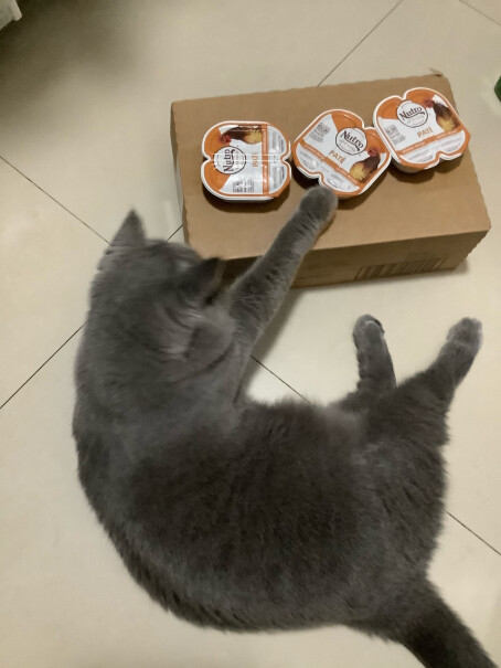 美士（Nutro）猫湿粮美士一分为二鲜食餐盒天然无谷主食猫罐头来看下质量评测怎么样吧！一定要了解的评测情况？