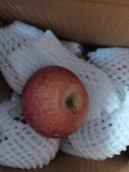 鲁禧山东红富士5斤高山丑苹果质量不好吗？亲身体验评测诉说！