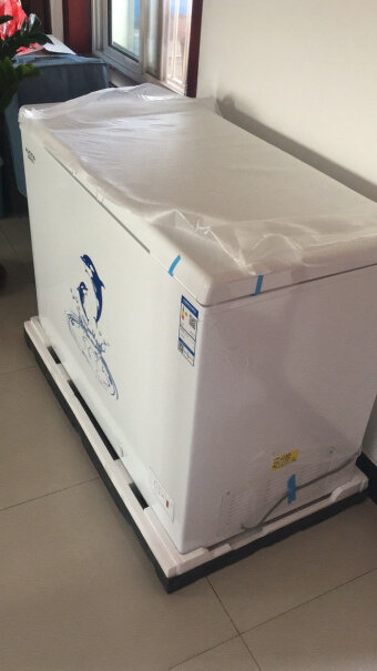 澳柯玛307升家用商用大容量冰柜商用雪糕大冰箱能送货上门吗？