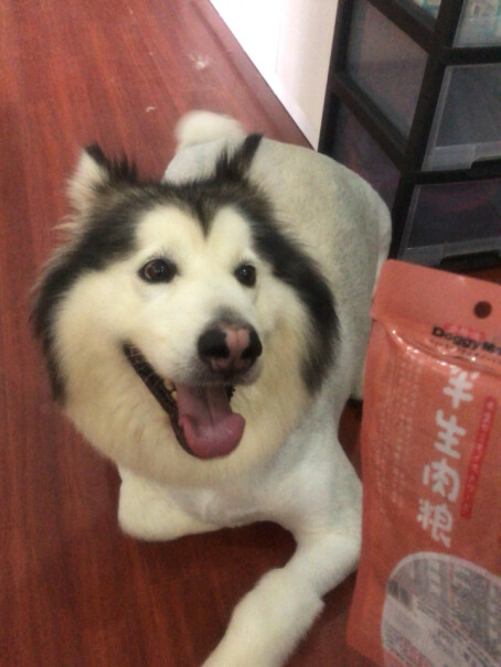 狗零食日本多格漫爱犬牛乳使用感受,全方位评测分享！