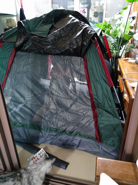 帐篷-垫子探险者全自动免搭建帐篷功能介绍,哪个性价比高、质量更好？