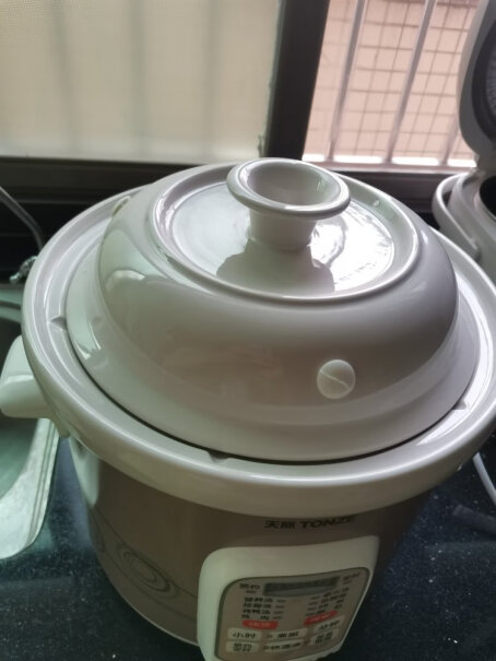天际TONZE电炖锅电炖盅可以煲几个人的汤？