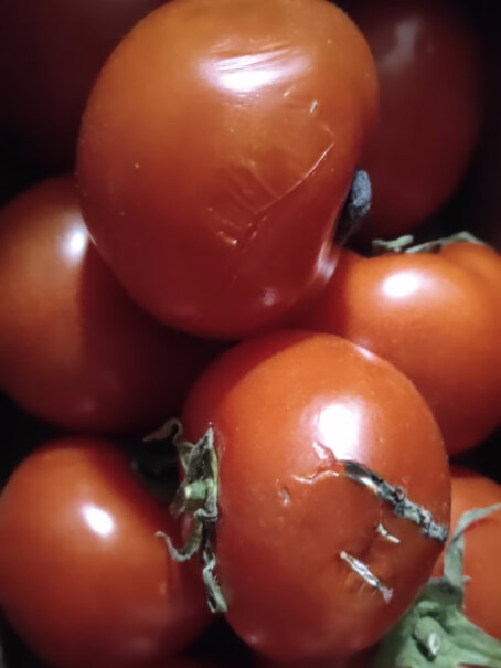 京地达山东西红柿自然熟番茄新鲜水果蔬菜健康轻食评测解读该怎么选,网友诚实不欺人！