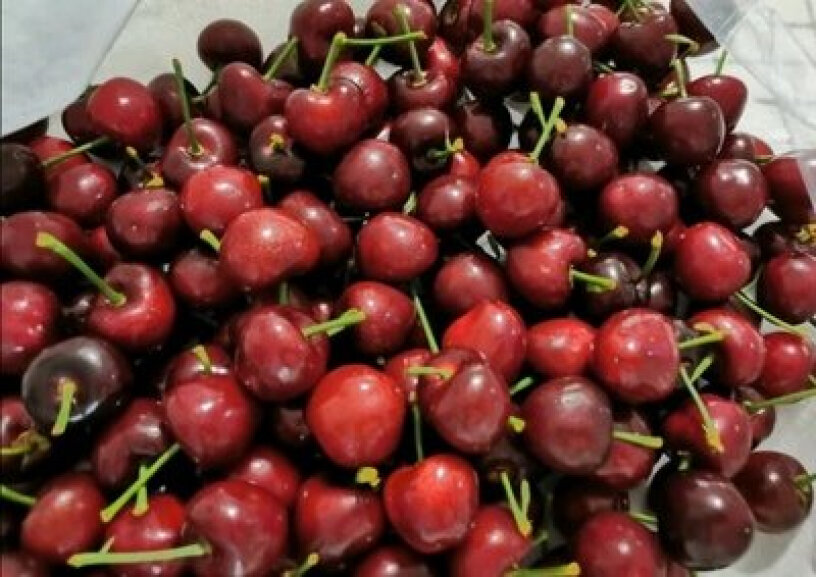 果蜜享（GUOMIXIANG）车厘子-樱桃山东大樱桃时令生鲜水果质量靠谱吗,要注意哪些质量细节！