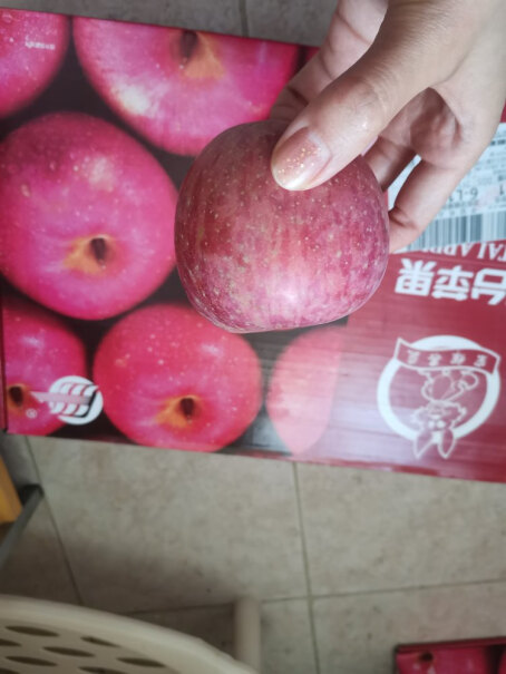 烟台红富士苹果12个礼盒净重2.6kg起我可以吃吗？