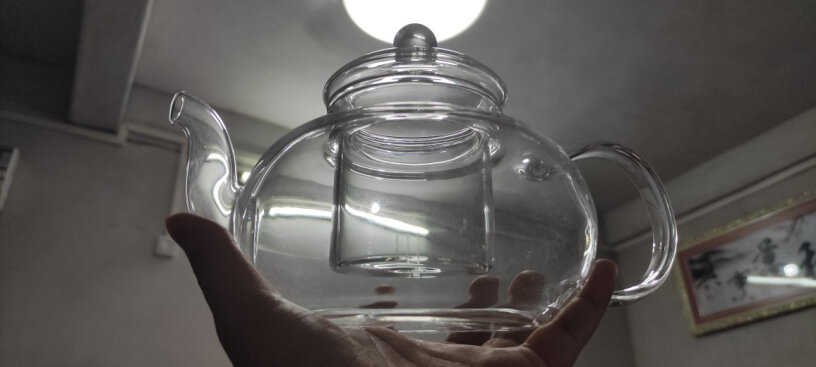 美斯尼耐热玻璃茶壶泡茶壶花茶壶电陶炉可以用吗？