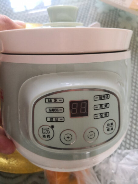 电炖锅小熊煲汤电炖锅评测质量好吗,哪款性价比更好？