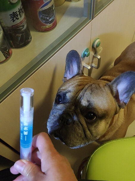 宠物洁牙笔牙结石去除器狗狗猫咪牙齿口腔清洁除口臭神器凝胶上药以后好抠吗？