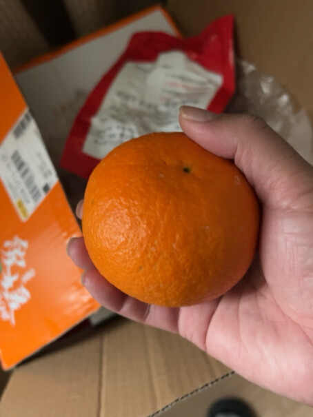 X-PLUS春见耙耙柑 2.5kg果礼盒橙子吃起来新鲜吗？
