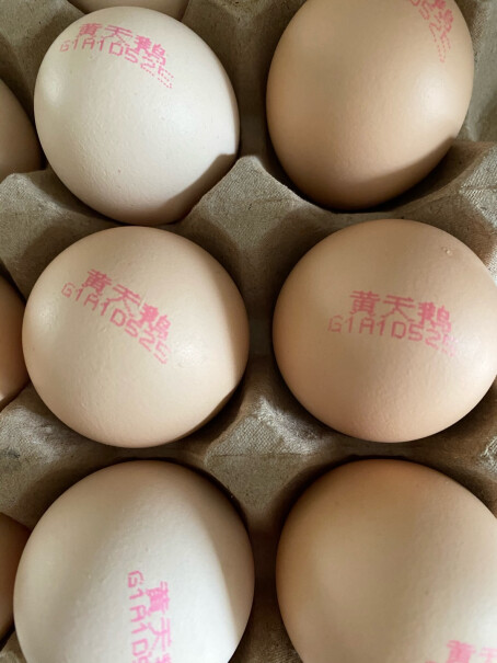 黄天鹅鸡蛋30轻食单枚50G+生食无菌天鹅评测数据如何？最新评测揭秘！