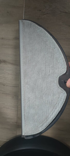 米家小米扫地机器人扫拖一体1T客厅有地毯，清扫的时候能识别吗？