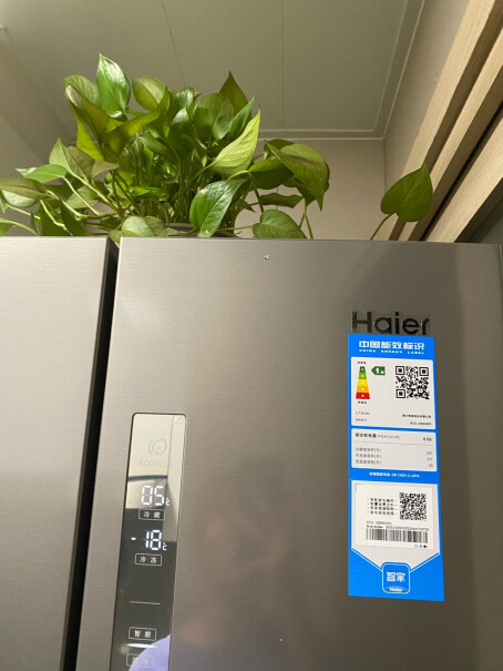 海尔Haier打开冰箱门，左右边有一个冰箱铭牌标识，可以拍一下吗？谢谢您？