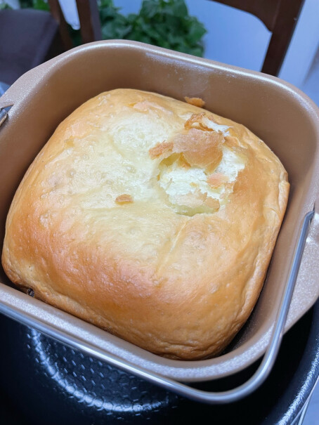 东菱Donlim烤面包机厨师机大家做出来的标准面包烧色怎么样，为啥我的很浅呢，调到最高依然很浅，完全做不出来别人的那种深色？