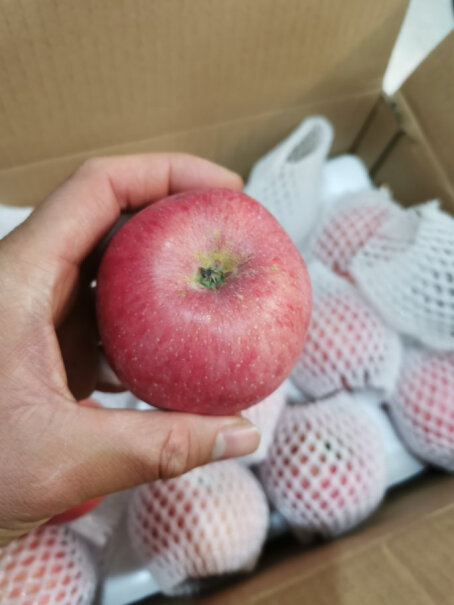 烟台红富士苹果5kg装和京鲜生烟台红富士比较哪个好吃啊？