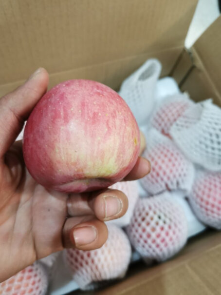 佳农烟台苹果显示采购中，大约下单几天能发货？