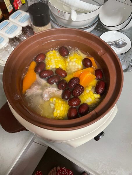 小熊电炖锅煲汤锅这个锅能吃几个人？