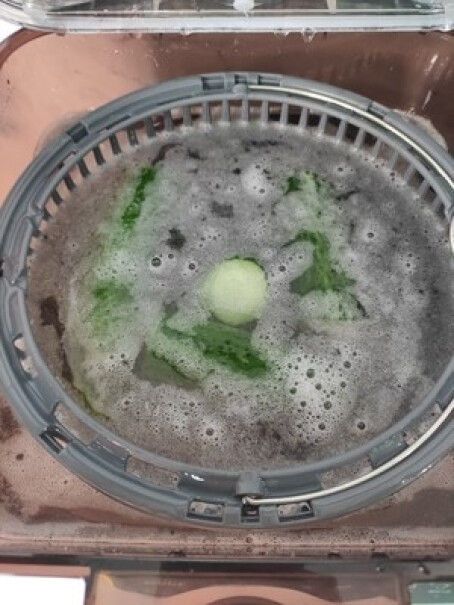 德国谷格果蔬清洗机洗菜机家用智能自动多功能蔬果清洁净化器机器是什么颜色的？