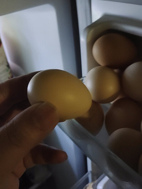 堆草堆6枚装鲜鸡蛋我领了卷怎么用不了，还不支持发货，是骗人的吗？