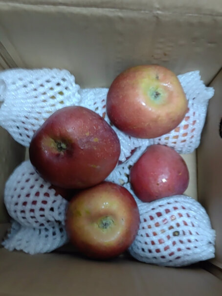鲁禧山东红富士5斤高山丑苹果好用吗？买前必看评测！