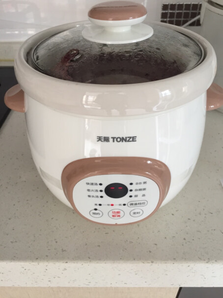 天际TONZE电炖锅电炖盅这个锅不沸腾，温度能到100度吗？