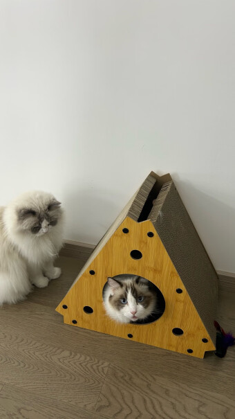 宠辞典三角猫抓板评测质量怎么样？详细评测报告！