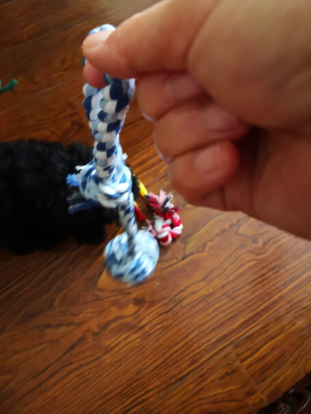 萌嘟星宠宠物狗狗棉绳球手提球骨头飞盘玩具组合2个多月的幼犬可以玩吗？应该咬着吃不了的吧？