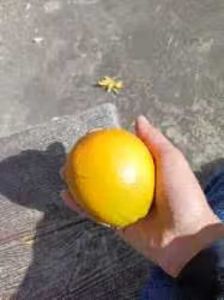 京丰味赣南脐橙水果年货礼盒10斤哪款值得入手？老司机揭秘评测如何？