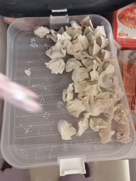收纳盒饺子孔雀蓝安扣单盖速冻水饺保鲜性价比高吗？坑不坑人看完这个评测就知道了！