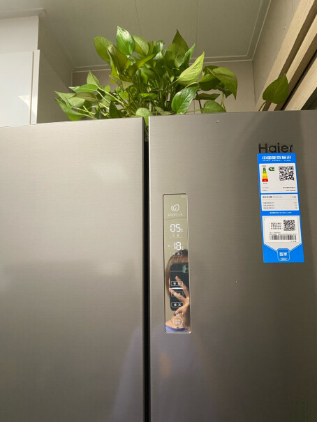 海尔Haier打开冰箱门，左右边有一个冰箱铭牌标识，可以拍一下吗？谢谢您？