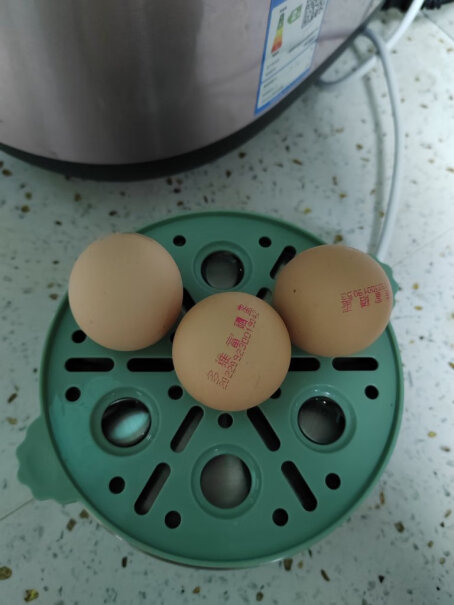 九阳煮蛋器蒸蛋器单层家用自动断电迷你鸡蛋羹蒸鸡蛋器蒸蛋机炖蛋器蒸蛋锅防干烧便携式请问好用吗？