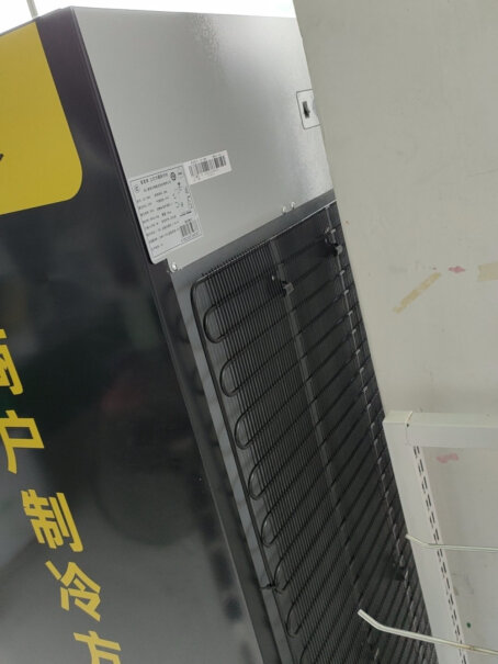 星星288升冷藏展示柜立式商用冰箱保鲜饮料冷柜有带锁的吗？