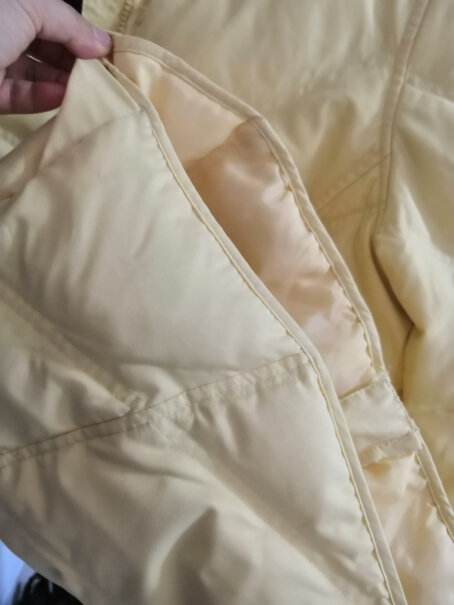 京东（JINGDONG）服装洗护京东洗衣服务 衣服任洗3件 价值2000元以下大衣质量真的差吗,这就是评测结果！