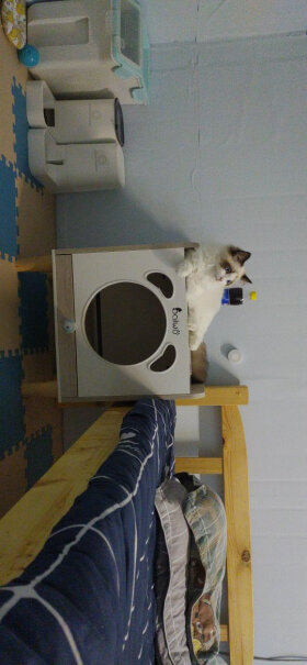 百我（Baiwo猫咪烘干机宠物烘干箱猫窝猫屋这个吹风机怎么样，能吹干，声音小么？值不值得买呀？
