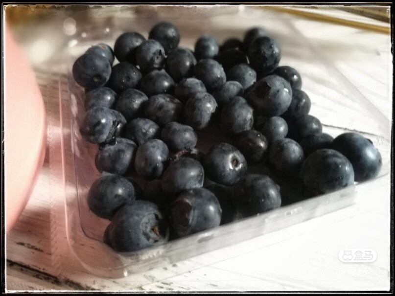 蓝莓入手评测到底要不要买！哪个更合适？