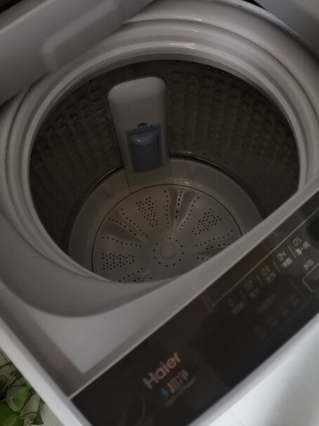 海尔租房神器波轮洗衣机全自动洗衣机身是白色的吗？