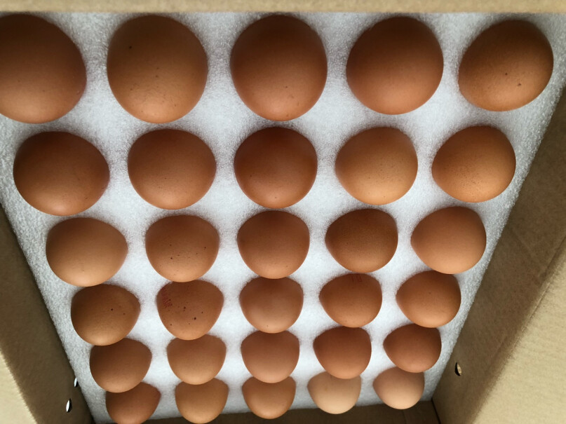 1号会员店会员开卡送智利JJ级车厘子2.5KG+12箱可生食鸡蛋应该怎么样选择,评测解读该怎么选？