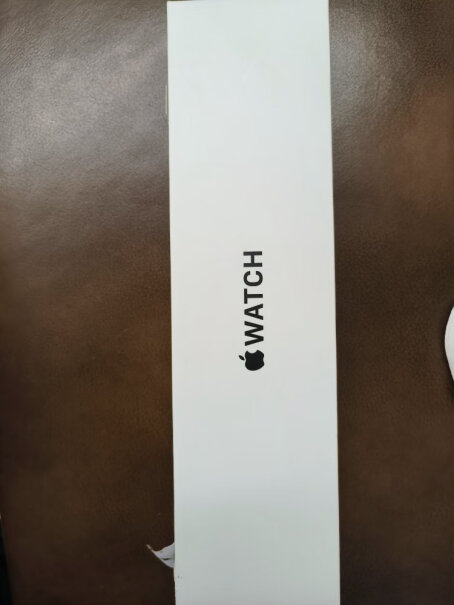 Apple Watch SE 2022款手表这里面有相册吗？