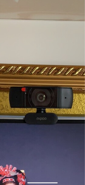 雷柏（Rapoo）C260高清网络摄像头你们双十一买的都到了吗？