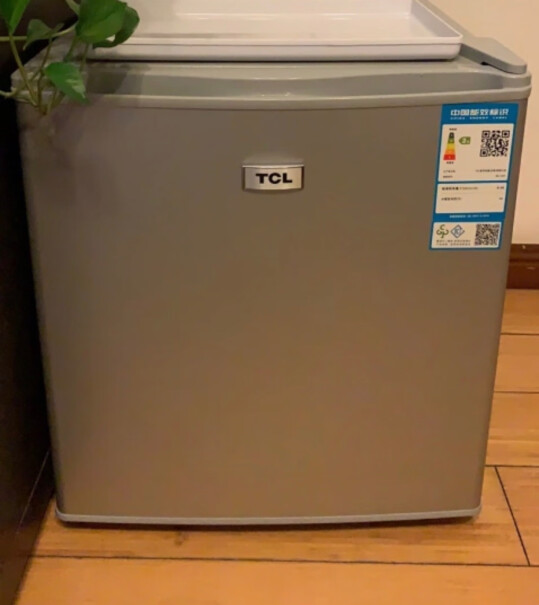 TCL162升双门电冰箱38分贝低音有冷冻室吗，能冷冻水饺吗？