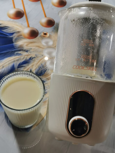 厨技奶茶破壁机家用豆浆机小型迷你静音自动清洁功能有人用过吗，怎么样？