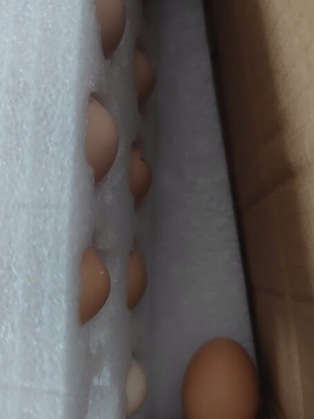 蛋类桃园散养正宗初生土鸡蛋农家谷物虫草新鲜柴鸡当日现捡初生蛋初生宝宝蛋10枚评测结果好吗,真的好吗！