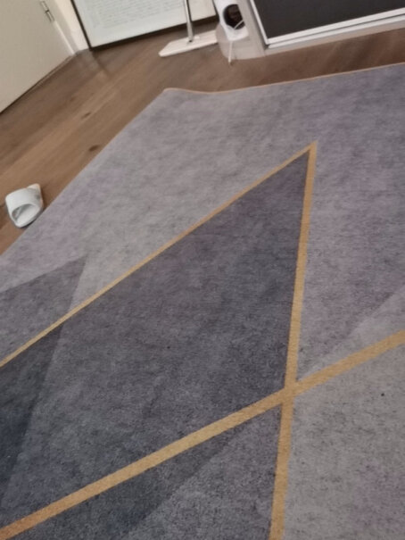 地毯梦蜓地毯为什么买家这样评价！质量好吗？