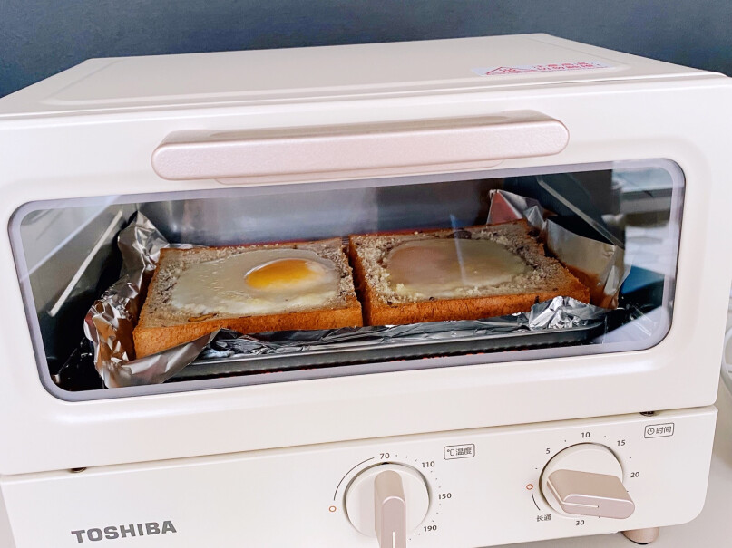 电烤箱东芝电烤箱家用多功能小型烤箱评测比较哪款好,使用情况？