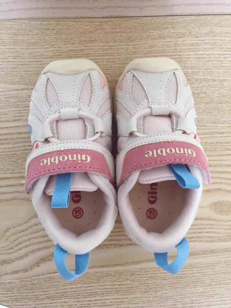 基诺浦关键鞋请问大家是几个月给宝宝穿的这鞋子？
