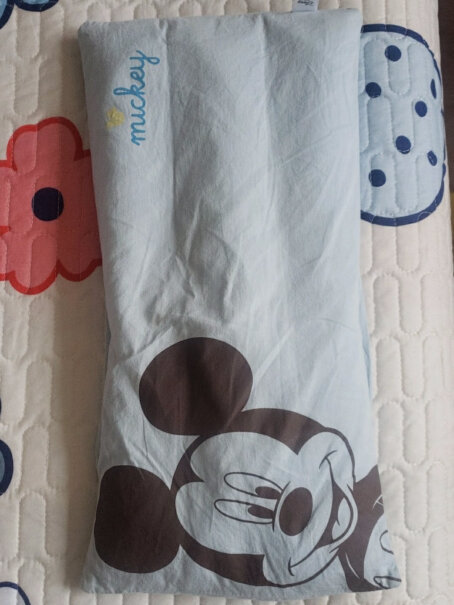 婴童枕芯-枕套迪士尼宝宝Disney对比哪款性价比更高,对比哪款性价比更高？
